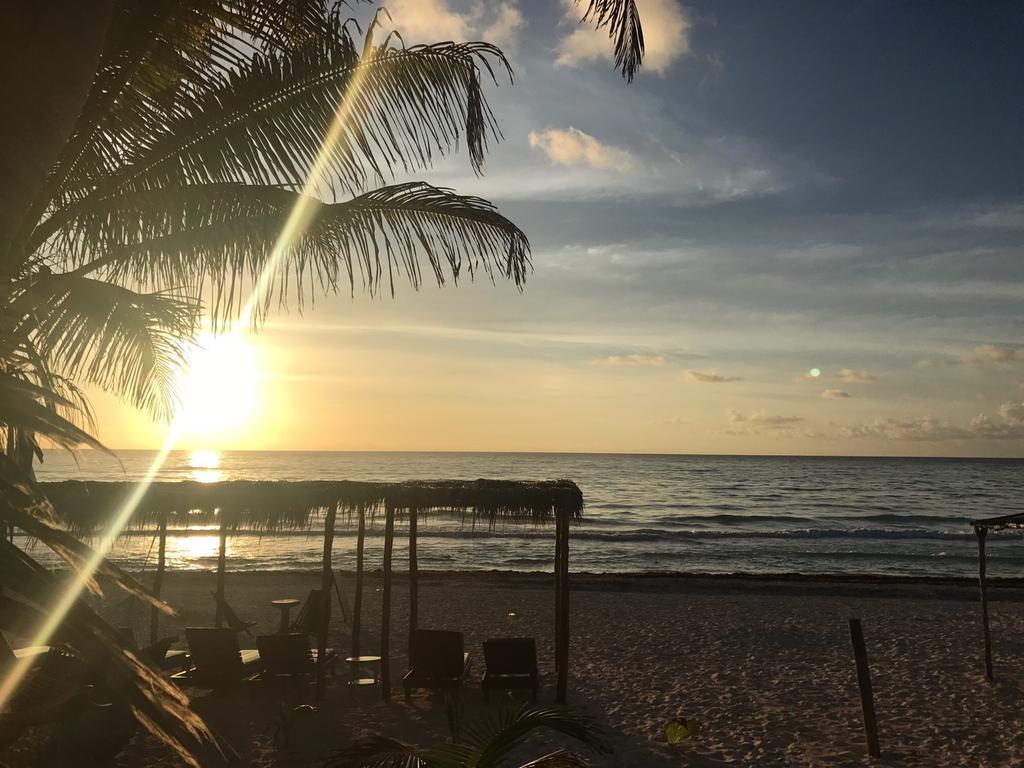 Agua Eco Design Hotel Tulum Ngoại thất bức ảnh