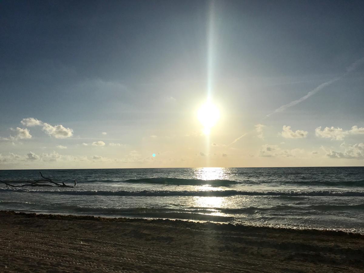Agua Eco Design Hotel Tulum Ngoại thất bức ảnh