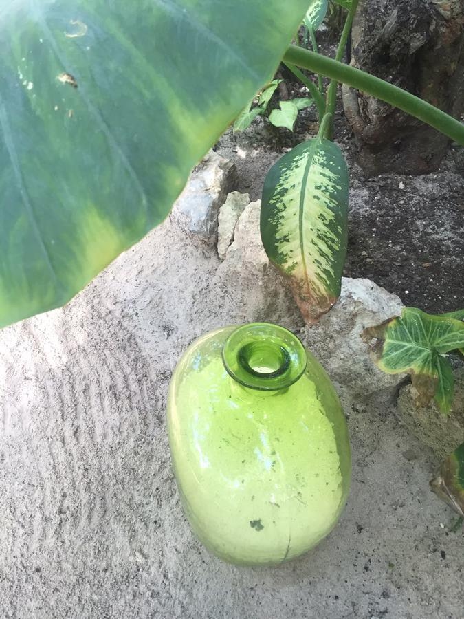 Agua Eco Design Hotel Tulum Ngoại thất bức ảnh