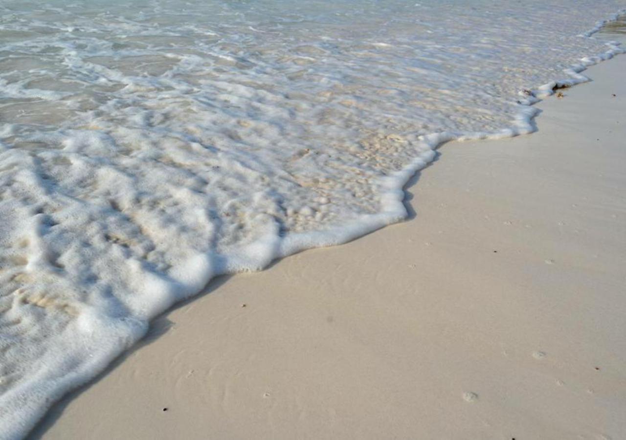 Agua Eco Design Hotel Tulum Ngoại thất bức ảnh