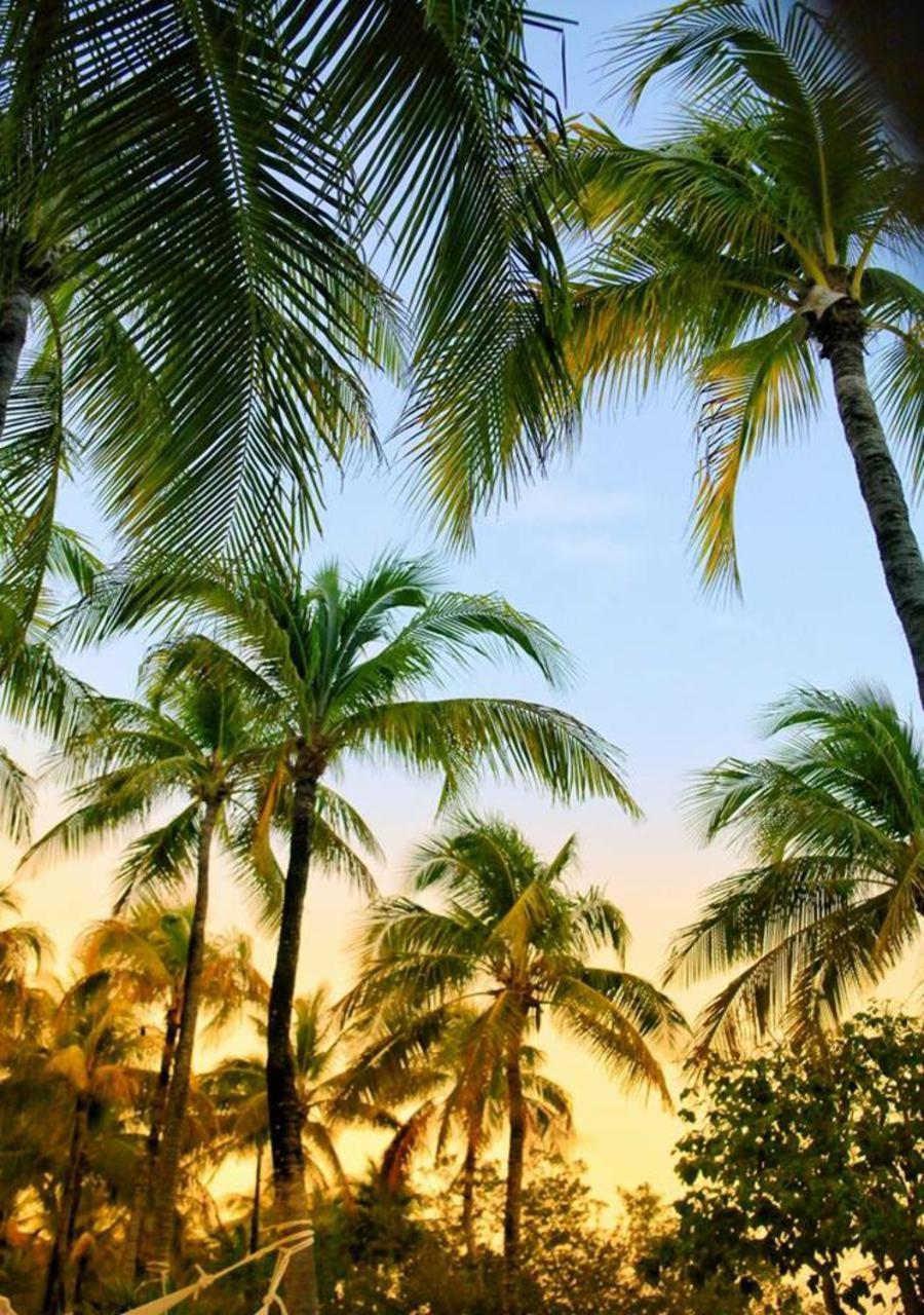 Agua Eco Design Hotel Tulum Ngoại thất bức ảnh